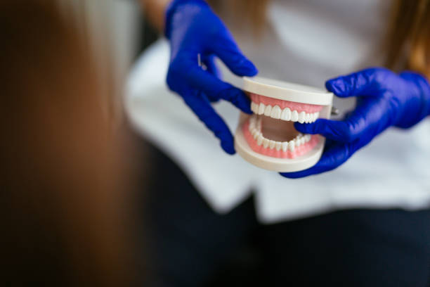 Best Preventive Dentistry  in Payson, IL
